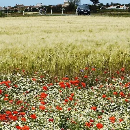 Petite Maison Dans Le Jardin בית נופש